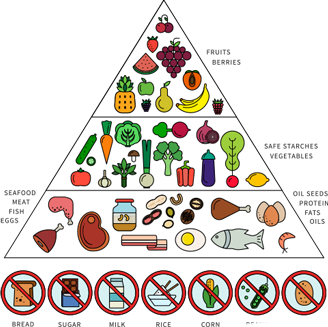 Food Chain Triangle